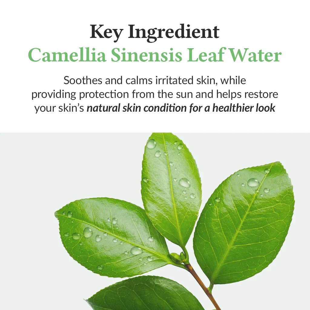 Dr. Althea Green Tea Fresh Sunscreen - Image 3