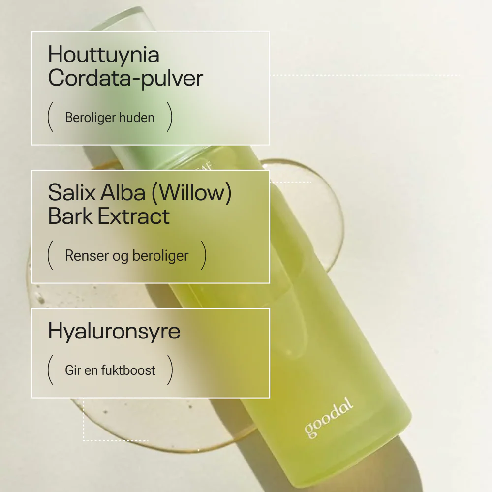 Goodal Houttuynia Cordata Calming Moisture Toner - Image 2