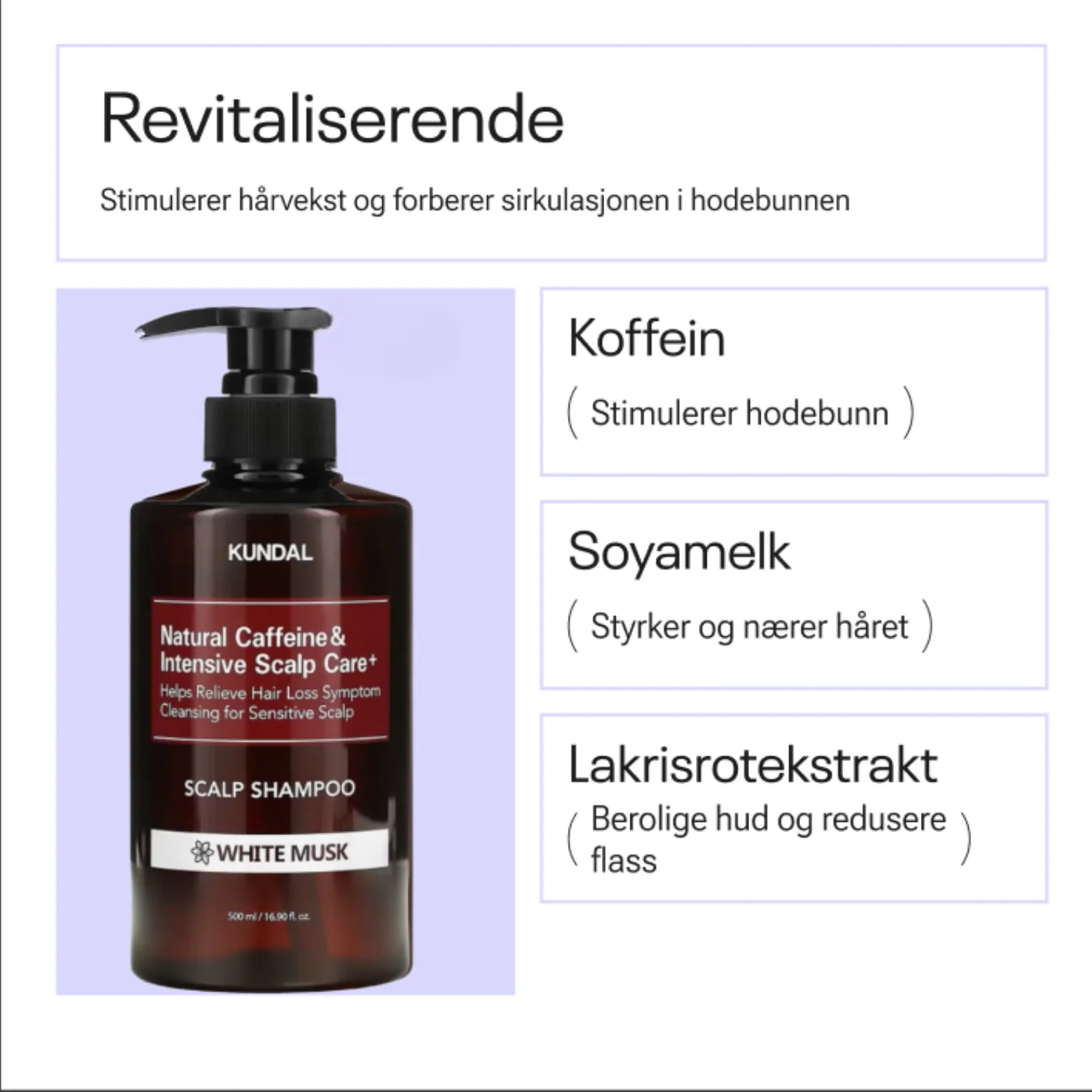 Kundal Natural Caffeine & Intensive Scalp Care+ Scalp Shampoo White Musk - Image 3
