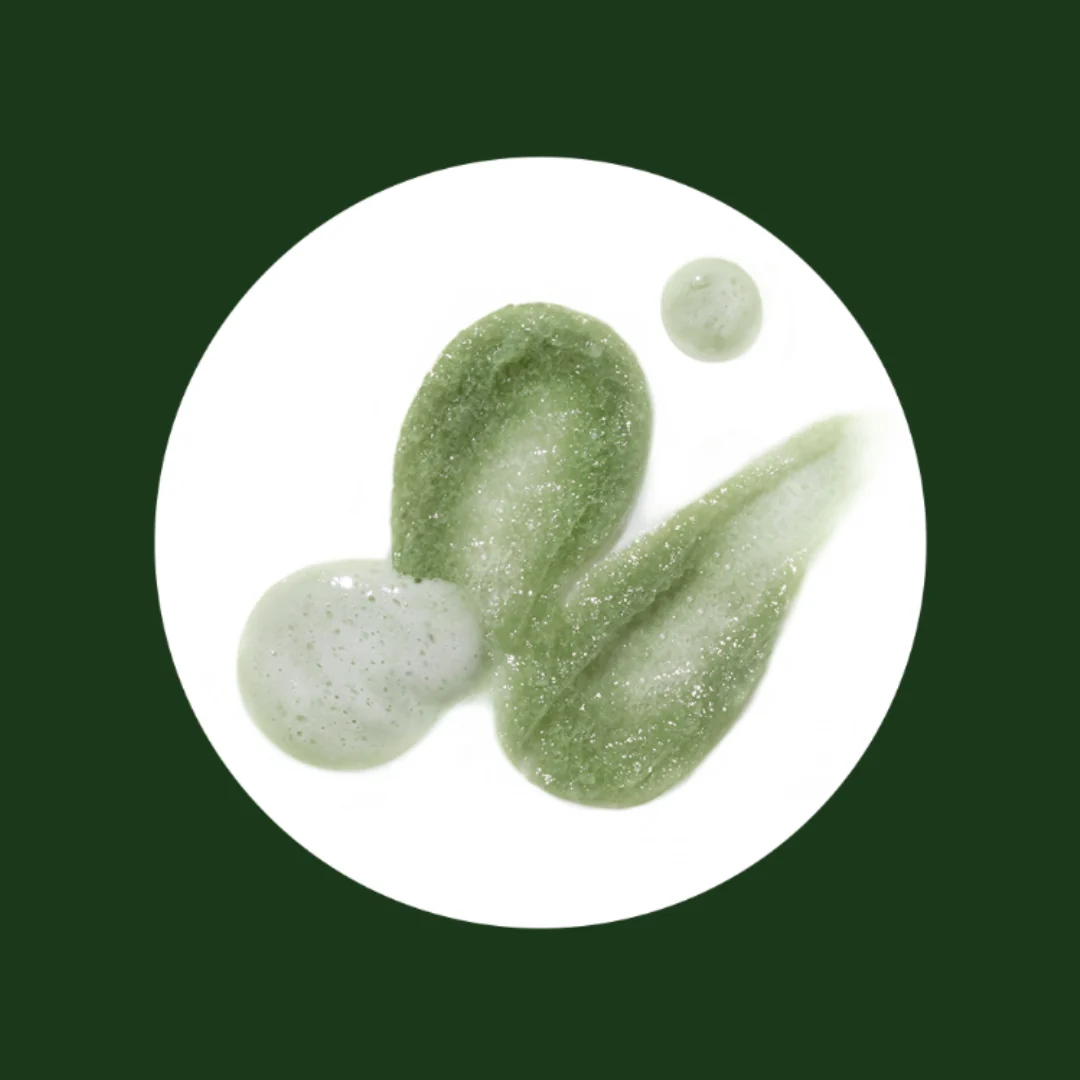 Kundal Matcha & Kale Clarifying Sea Salt Scalp Scrub - Herb Mint - Image 2